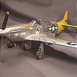 1/32 scale Tamiya P-51D model by John Bardwell